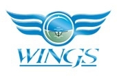 wings escola de aviação